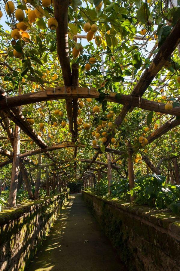 I Giardini Di Cataldo Sorrento Villa Ngoại thất bức ảnh